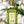 Carica l'immagine nel visualizzatore della Galleria, Olio Laudemio